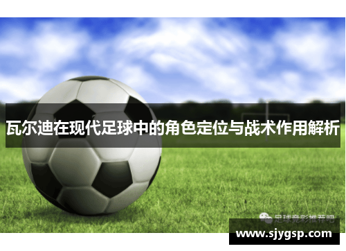 瓦尔迪在现代足球中的角色定位与战术作用解析